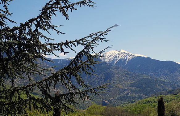 pyrénées